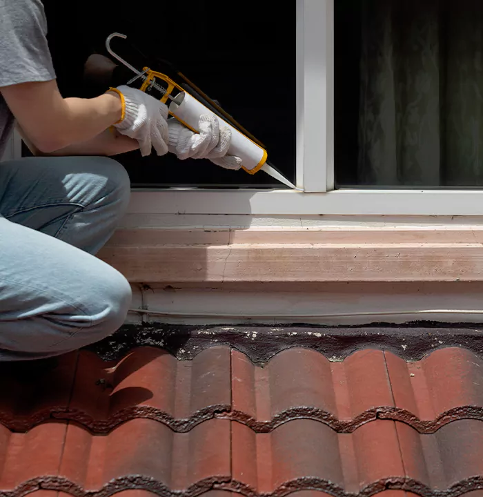 Roof Window Services in Clermont, Florida
