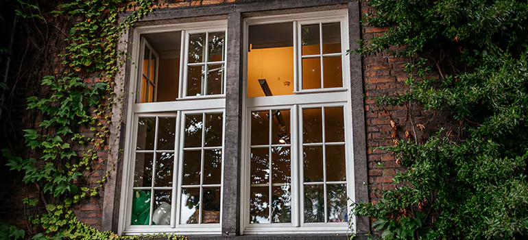 Energy Efficient Wood Windows in Clermont, FL