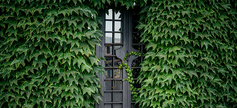 Garden Gate Repair in Clermont, FL