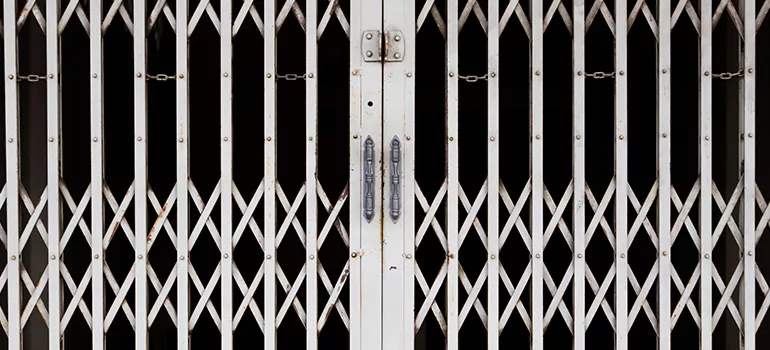 Steel Line Garage Door Repairs in Clermont, FL