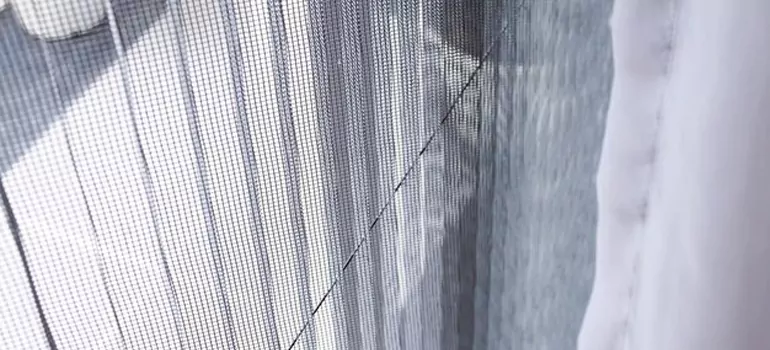 Fixing Screen Window Mesh in Clermont, FL