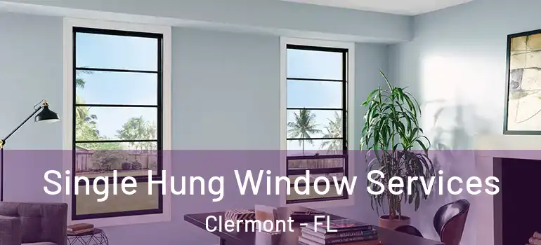  Single Hung Window Services Clermont - FL
