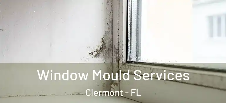  Window Mould Services Clermont - FL