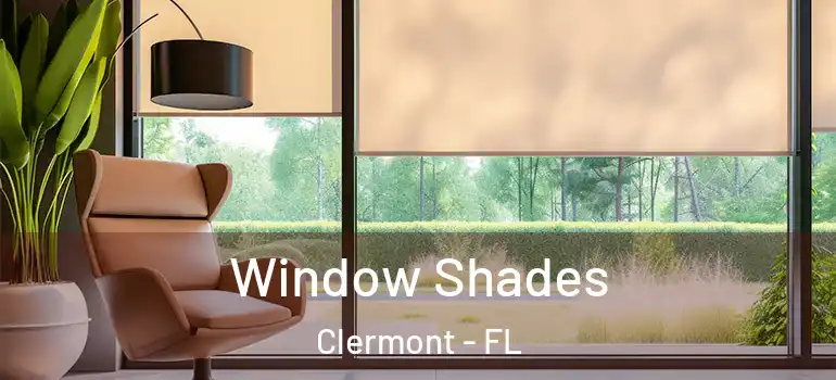  Window Shades Clermont - FL
